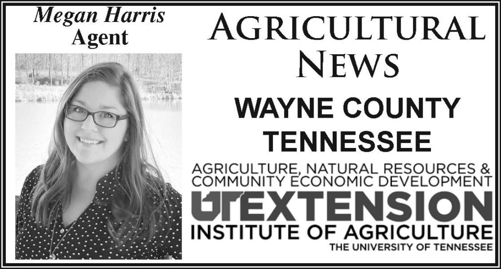 Agricultural News: Upcoming Agriculture Programs