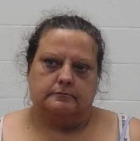 Former Wayne County Woman Arrested on Multiple Charges