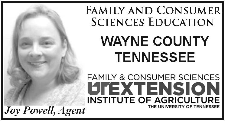Family and Consumer Sciences Education: Steps to Stabilize Your Financial Situation