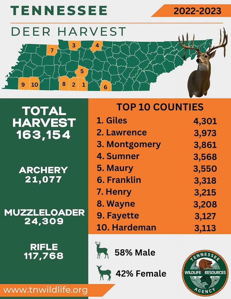 Wayne County in Top Ten of TN Deer Harvest
