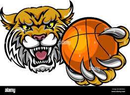 WCHS Basketball Preview
