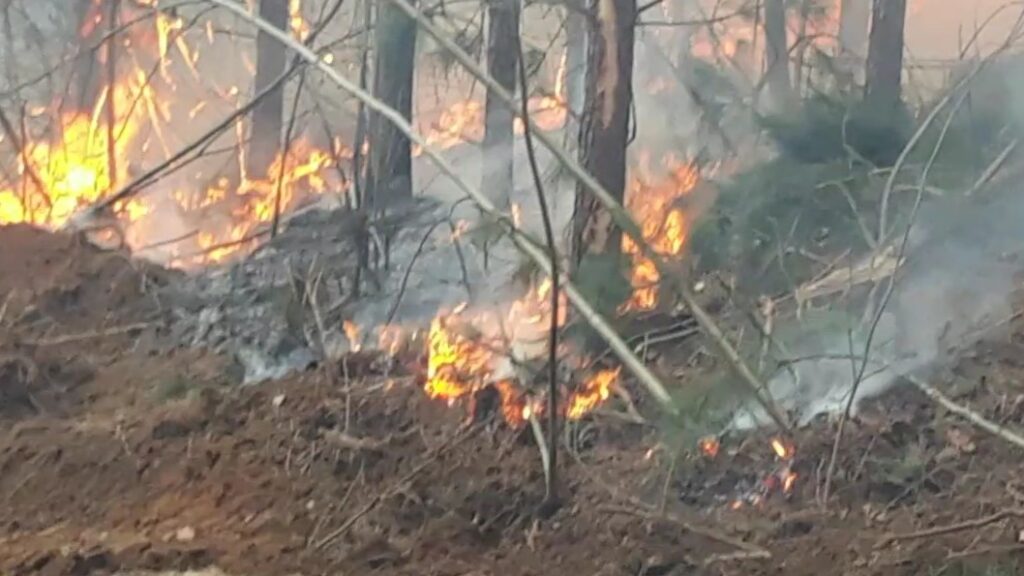 TN Forestry and Local Volunteers Fight Two Wildfires in One Week